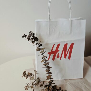 Eco-friendly paper shopping bag with eucalyptus for sustainable fashion brands.