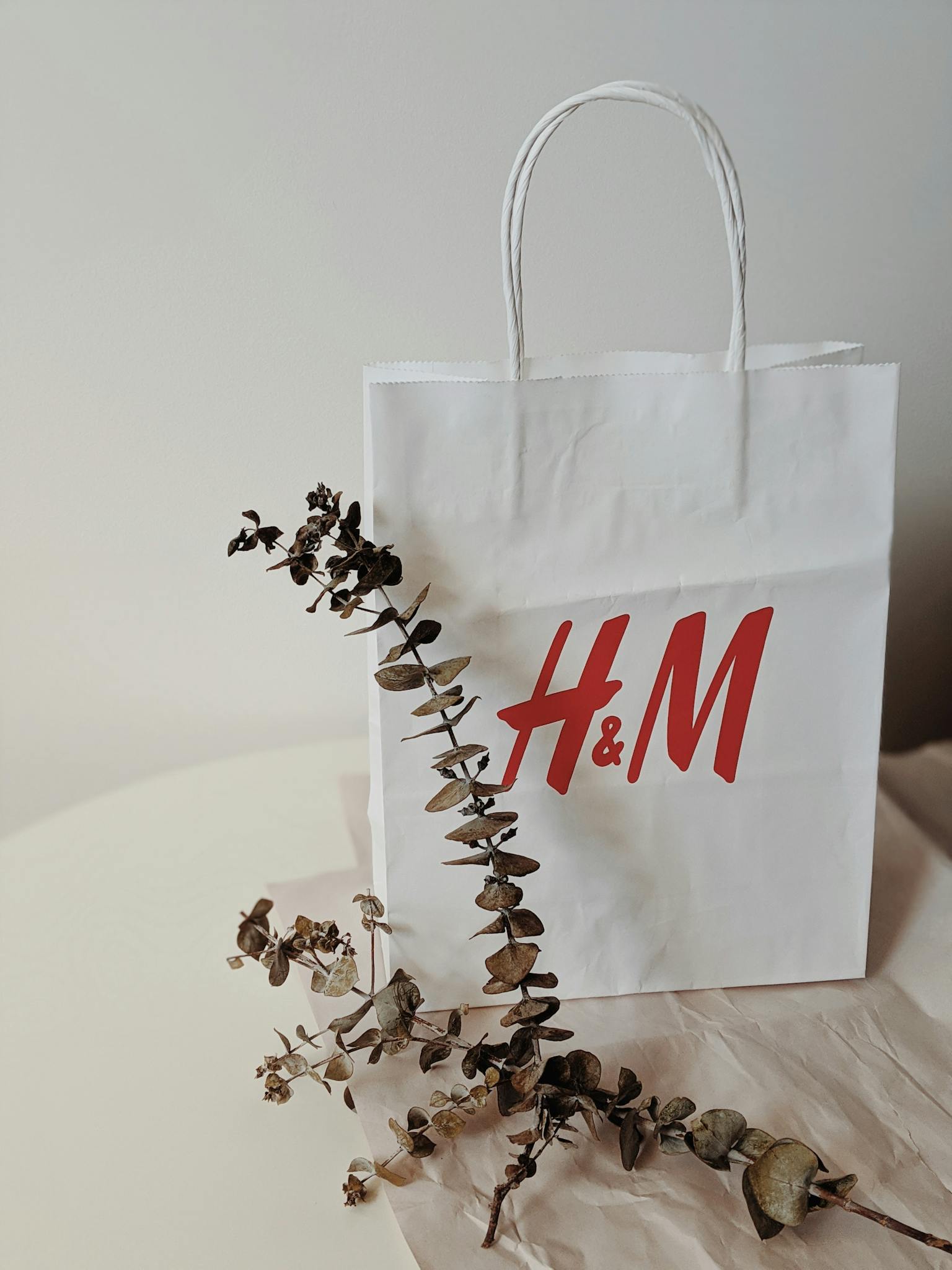 Eco-friendly paper shopping bag with eucalyptus for sustainable fashion brands.